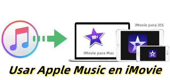 como poner musica de apple music en imovie
