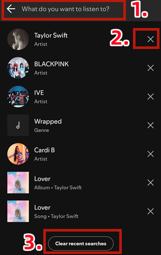 como borrar historial de busqueda de spotify en movil