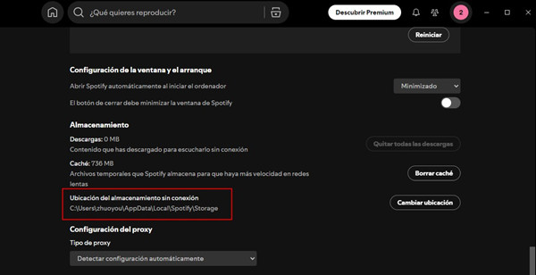 como ver las canciones descargadas de spotify pc