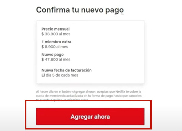 revisar detalles de agregar miembro extra de netflix