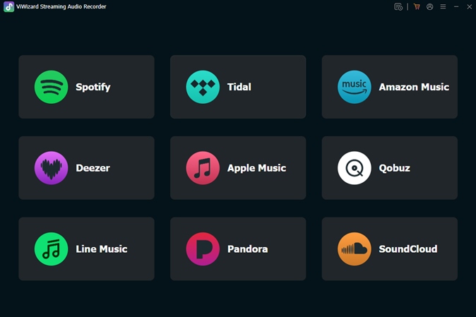 interfaz de viwizard streaming audio recorder
