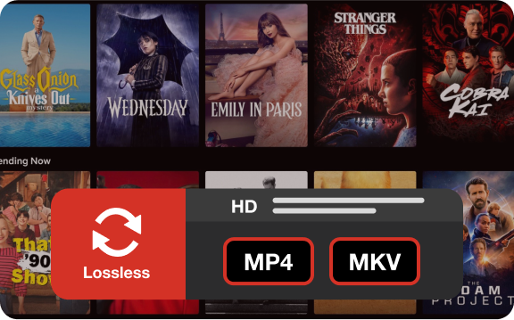 convertir netflix a mp4 o mkv