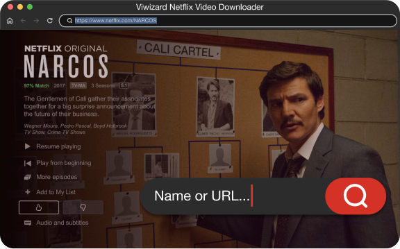 reproductor web incorporado de netflix
