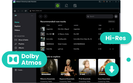 tidal music converter